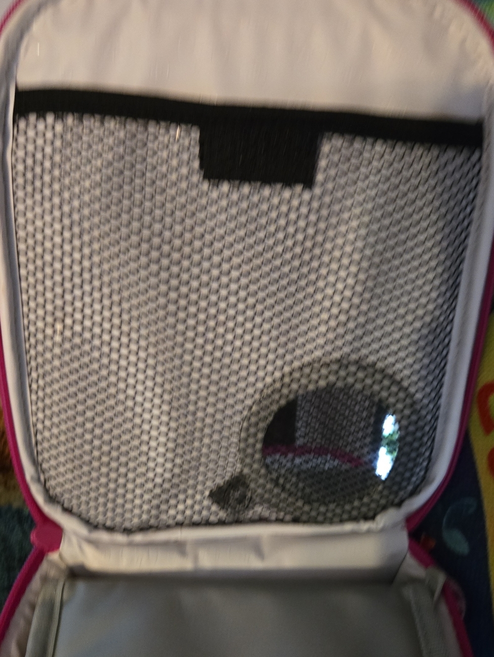 Lunch Box With Extras - Picture 5 of 9